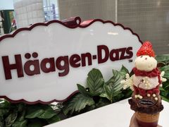 -哈根达斯(绍兴银泰店)