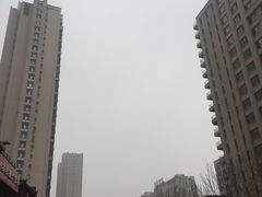 -高玛纳驴肉火烧(一世界店)
