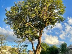 -赤坎·广东华侨国际旅游度假区