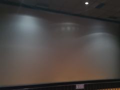 -华美国际影城(旧宫永辉店)