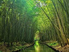 -同里国家湿地公园