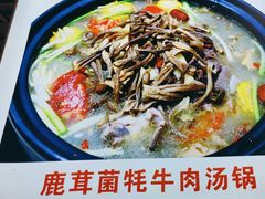 -九寨沟特色牦牛肉汤锅
