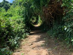 -硇洲岛旅游区