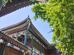 -国家图书馆·古籍馆