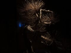 -浅深(北京北四环精品店)