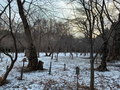 -北海道神宫