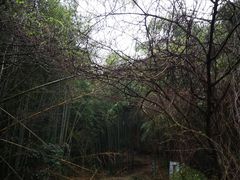 -达蓬山旅游度假区