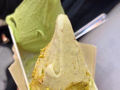 -野人先生现做冰淇淋(西安赛格店)