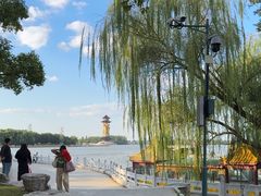 -溱湖国家湿地公园