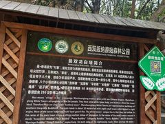 -西双版纳原始森林公园