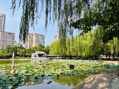 -团结湖公园