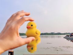 -深圳人才公园