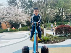 -杭州少年儿童公园