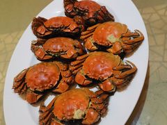 -顺德喜来登酒店·采悦轩