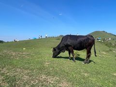 -大姆山草场
