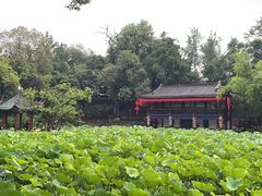 -房湖公园