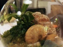 -自由生长植物工作室(深港花卉中心店)