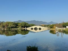 -飞来湖湿地公园
