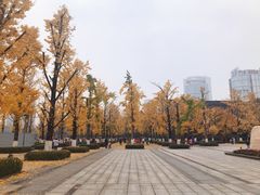 -两江幸福广场