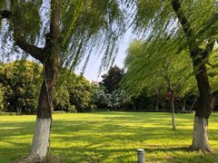 -柳浪闻莺公园