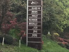 -铁山坪森林公园