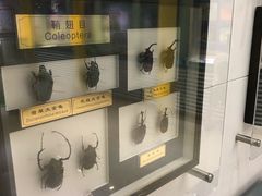 -上海昆虫博物馆