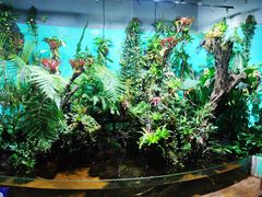 -太平洋海底世界