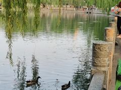 -济南大明湖景区