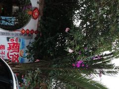 -贵长农家乐·北海湿地