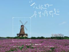 -大塘金香草谷