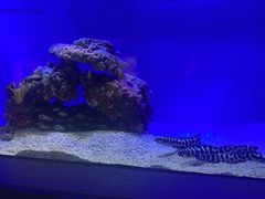 -上海海洋水族馆