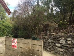 -怀托摩萤火虫洞