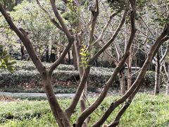 -徐家汇源景区-衡山公园