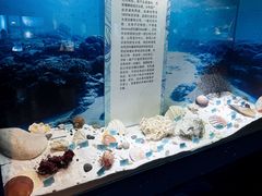 -温州博物馆