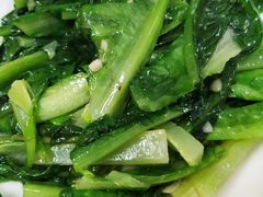 炒油麦菜-梧桐庄园