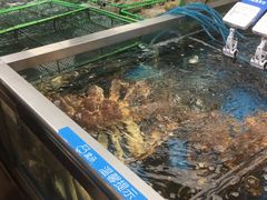 -盒马鲜生(大成店)