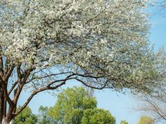 -盘龙城国家考古遗址公园