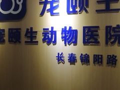 -宠颐生动物医院·心脏科·保险定点(锦阳分院)