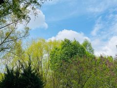 -长春公园(普阳街道)