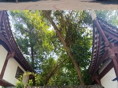 -三苏祠