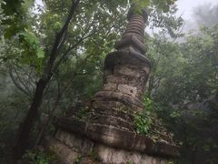 -北京凤凰岭