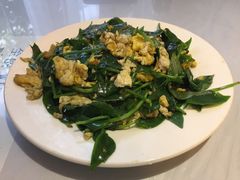 -幸福树餐厅