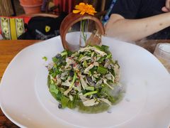 -粘芭喃腊云南的菜