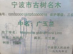 -天一阁博物院