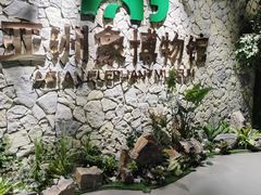 -野象谷景区