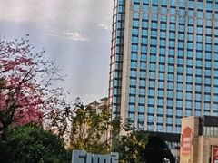 -三宝大饭店-中和艺素餐厅(浦上金山正祥广场店)