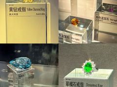 -中国地质博物馆