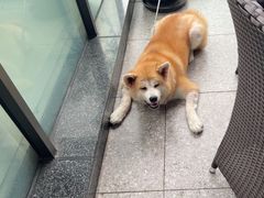 -渝信川菜(南滨店)
