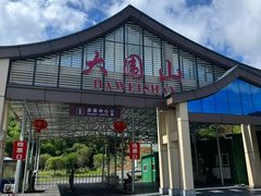 -大围山国家森林公园