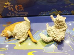 -猫的天空之城概念书店(大学路店)
